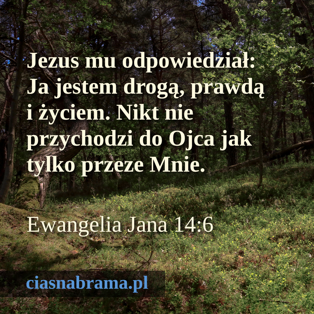 ciasnabrama.pl
