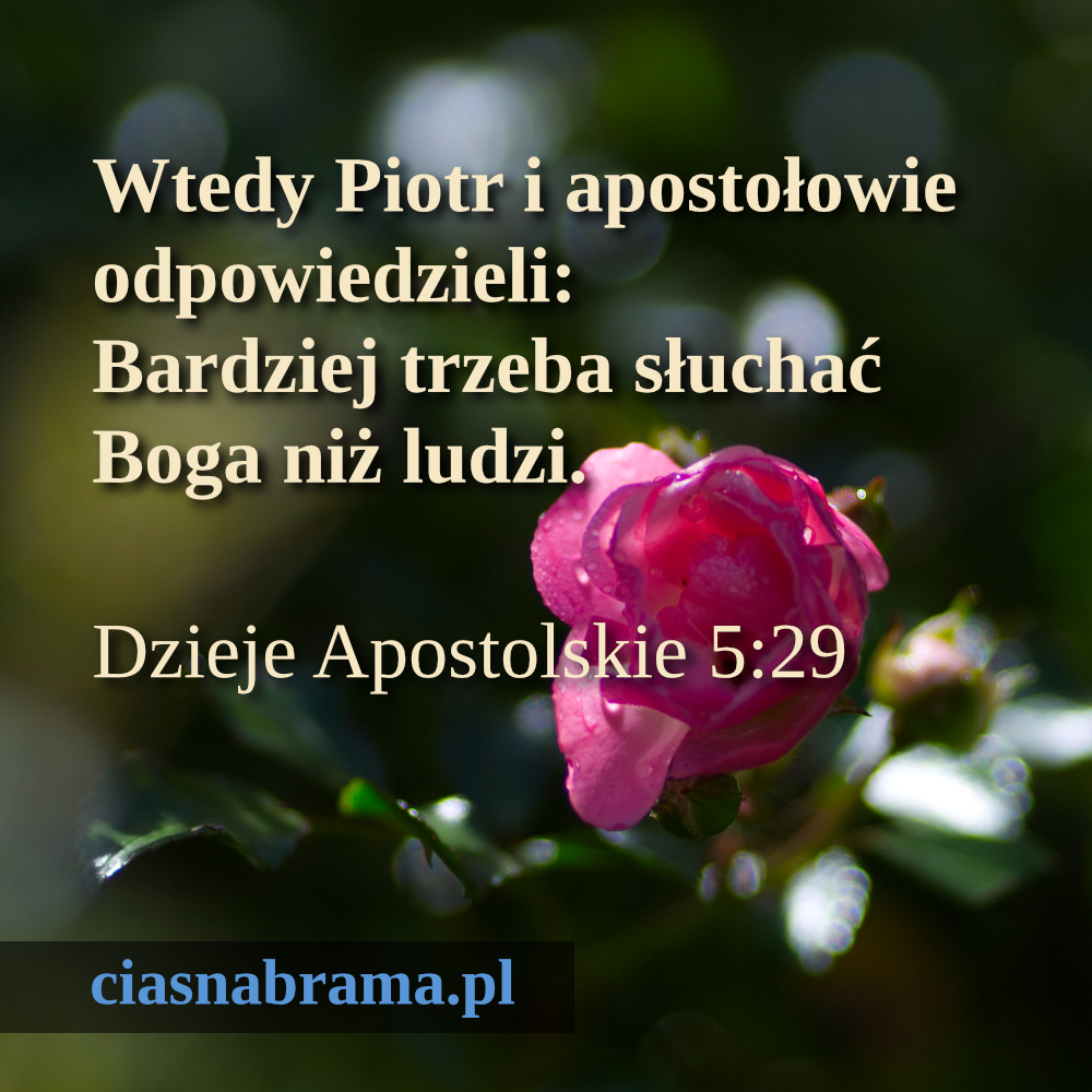 ciasnabrama.pl