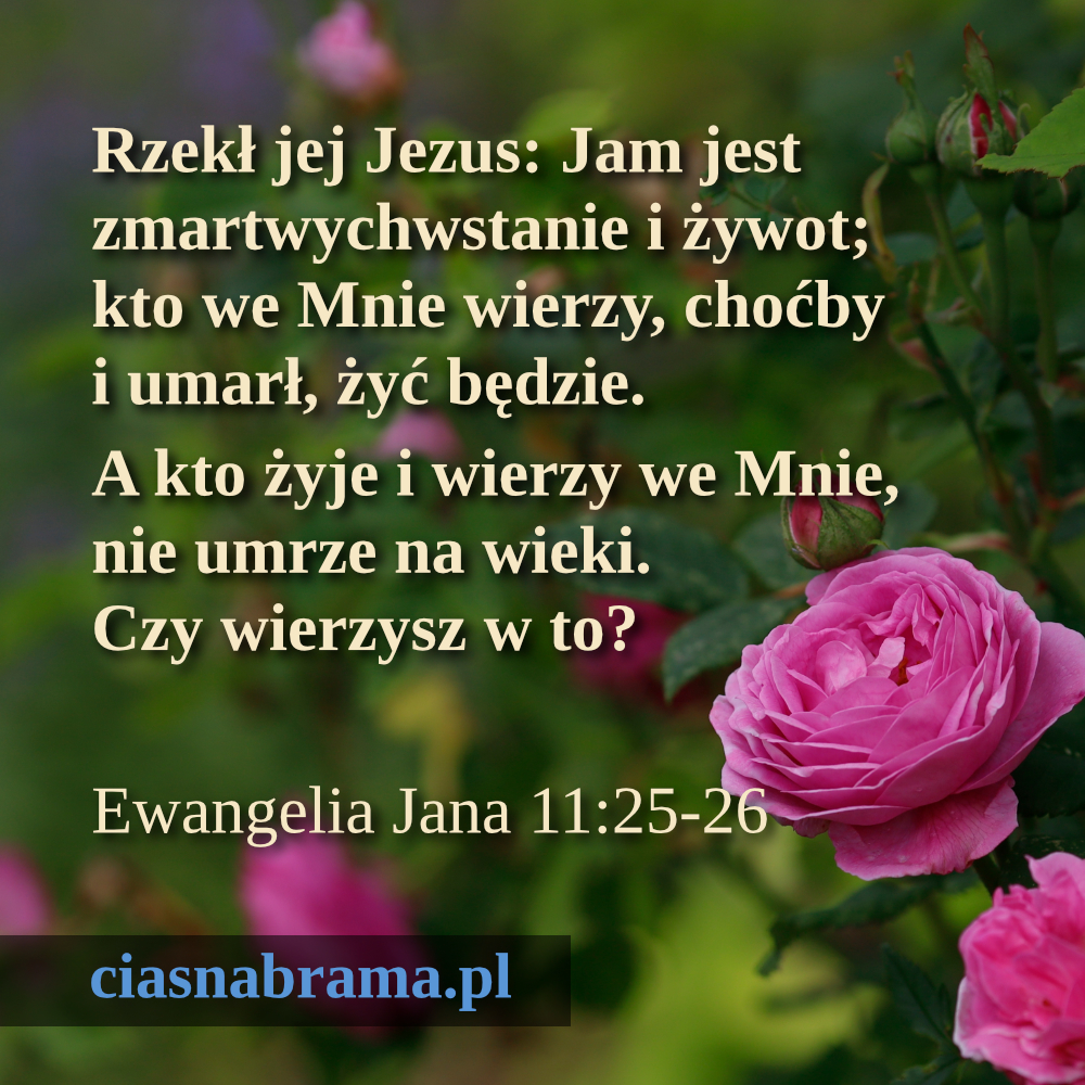 ciasnabrama.pl